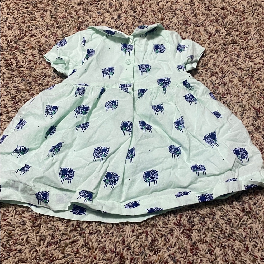 Baby gap size 6 to 12 months sheep print dress